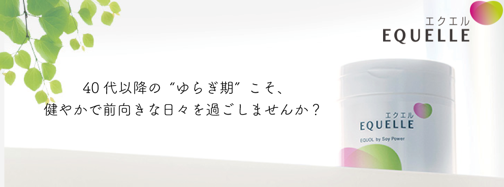 エクエル EQUELLE パウチ 120粒 3袋セット Yahoo!フリマ（旧）+